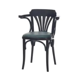 Stuhl "24" von Ton